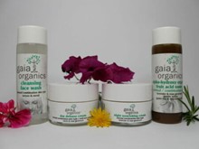 Gaia Organics Normal/Combination Skin Pack (4 Products)